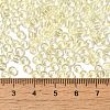 Transparent Colours Glass Seed Beads SEED-P007-02A-03-4