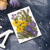 Pressed Dried Flowers DIY-YWC0001-97-5