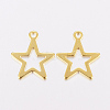 201 Stainless Steel Charms X-STAS-F162-13G-2
