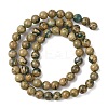 Natural Green Dragon Veins Beads Strands G-D098-A01-6mm-3