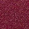 TOHO 11/0 Round Beads SEED-XTR11-0165BF-2