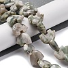 Natural Peace Jade Beads Strands G-F783-G08-01-2