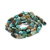 Natural Hubei Turquoise Beads Strands G-P497-01C-51-3