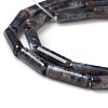 Natural Larvikite Beads Strands G-F247-23-3