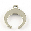 Tibetan Style Alloy Pendants TIBE-Q047-06AS-RS-2