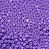 Baking Paint Glass Seed Beads SEED-H002-I-A505-3