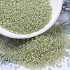 MIYUKI Round Rocailles Beads X-SEED-G007-RR0359-1