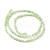 Natural Trochus Shell Beads Strands SHEL-K006-19E-2