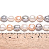 Natural Cultured Freshwater Pearl Beads Strands PEAR-N014-09A-02-6