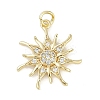Rack Plating Brass Micro Pave Cubic Zirconia Pendants LS-KK-H509-21G-02-1