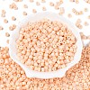 Opaque Baking Paint Glass Seed Beads SEED-T008-02C-2