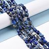 Natural Lapis Lazuli Beads Strands G-F575-01F-2