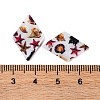 Natural Freshwater Shell Pendants BSHE-S304-19C-3