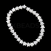 Natural Trochid Shell/Trochus Shell Beads Strands SH-CBA2978-17A-4