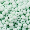 Baking Paint Glass Seed Beads SEED-C003-02I-3