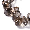 Natural Smoky Quartz Beads Strands G-B072-D01-02-5