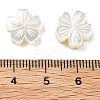 Natural White Shell Carved Beads SSHEL-Z002-02A-3