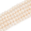 Natural Cultured Freshwater Pearl Beads Strands PEAR-I007-07Y-02A-2
