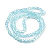 AB Color Plate Glass Beads Strands EGLA-P051-06B-C02-2