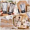 4Bag 4 Styles PET Plastic Lace Decorative Stickers AJEW-SP0002-77-6