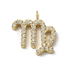 Ion Plating(IP) 304 Stainless Steel Micro Pave Cubic Zirconia Charms STAS-Z107-09G-10-1