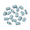 2-Hole Baking Paint Glass Seed Beads SEED-S023-17B-43-1