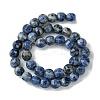Natural Blue Spot Jasper Beads Strands G-H023-A07-01-3