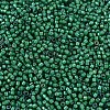 MIYUKI Delica Beads SEED-X0054-DB1788-3
