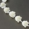 Natural Trochid Shell/Trochus Shell Bead Caps BSHE-B005-03-3