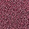MIYUKI Delica Beads SEED-J020-DB0428-3