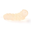 Luminous Resin Worm Ornament DJEW-R011-01C-05-2