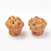 Resin Decoden Cabochons LS-CRES-S304-68-1
