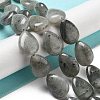 Natural Labradorite Beads Strands G-P528-L03-01-2