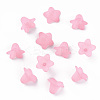 Transparent Acrylic Beads PLF018-02-2