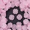 Frosted Transparent Acrylic Beads OACR-P029-19B-05-1