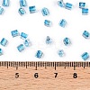 6/0 Transparent Inside Colours Glass Seed Beads SEED-N006-003D-4