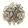 Transparent Resin Wing Pendants Set X-RESI-TAC0021-01A-2