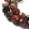 Natural Petrified Wood Beads Strands G-C150-B01-02-3