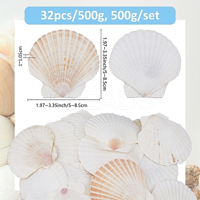 500G Natural Shell Ornaments DJEW-FH0001-35B-1