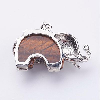 Natural Tiger Eye Pendants G-P268-04-1