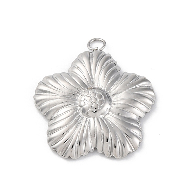 304 Stainless Steel Pendants STAS-Z114-02P-1
