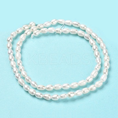 Natural Cultured Freshwater Pearl Beads Strands PEAR-E016-143-1