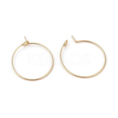 316L Surgical Stainless Steel Hoop Earring Findings STAS-G229-07G-02A-1
