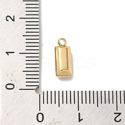 304 Stainless Steel Charm STAS-L022-242G-1