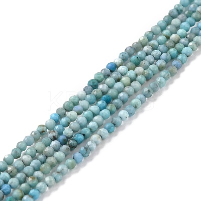 Natural Blue Opal Beads Strands G-K315-B05-A-1