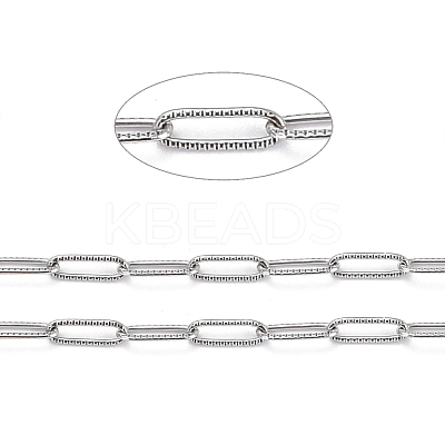 Tarnish Resistant 304 Stainless Steel Paperclip Chains CHS-D033-06P-02-1