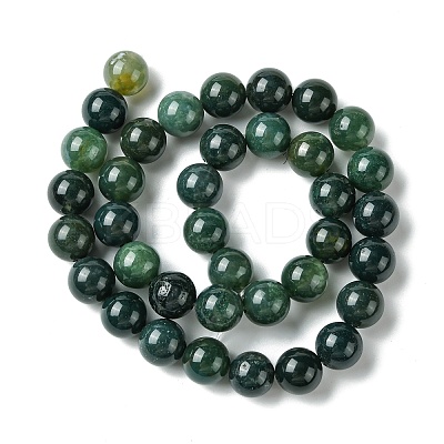 Natural Moss Agate Beads Strands X-GSR10mmC001-1