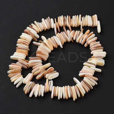Natural Shell Beads Strands SHEL-D002-01A-1