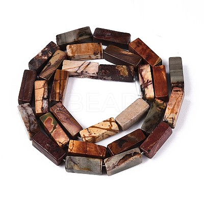 Natural Picasso Jasper/Polychrome Jasper Beads Strands G-T141-104-1