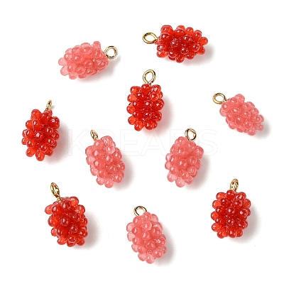 12Pcs 2 Colors Resin Pendants RESI-CJ0004-71-1